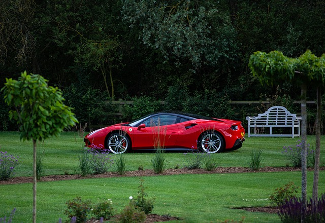 Ferrari na zahradě